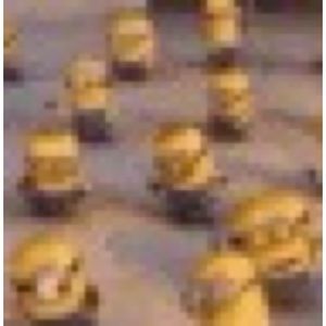 Meet your Posher, Ellen